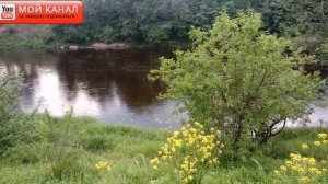 Кидаем Поисковый магнит!!!