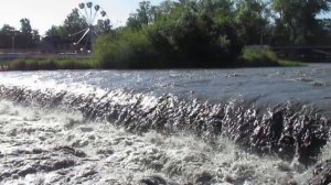 Терек бурный