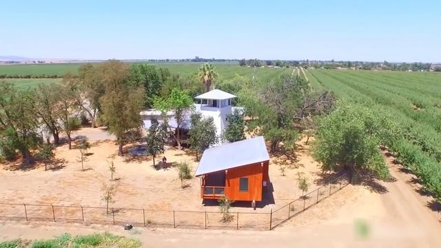 ТОП 9 ЖИВОТНЫХ, КОТОРЫЕ СЧИТАЛИСЬ ВЫМЕРШИМИ смотреть онлайн