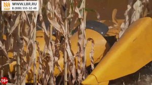 Бердянские жатки для уборки кукурузы. Работа с комбайном Полесье и Джон Дир!