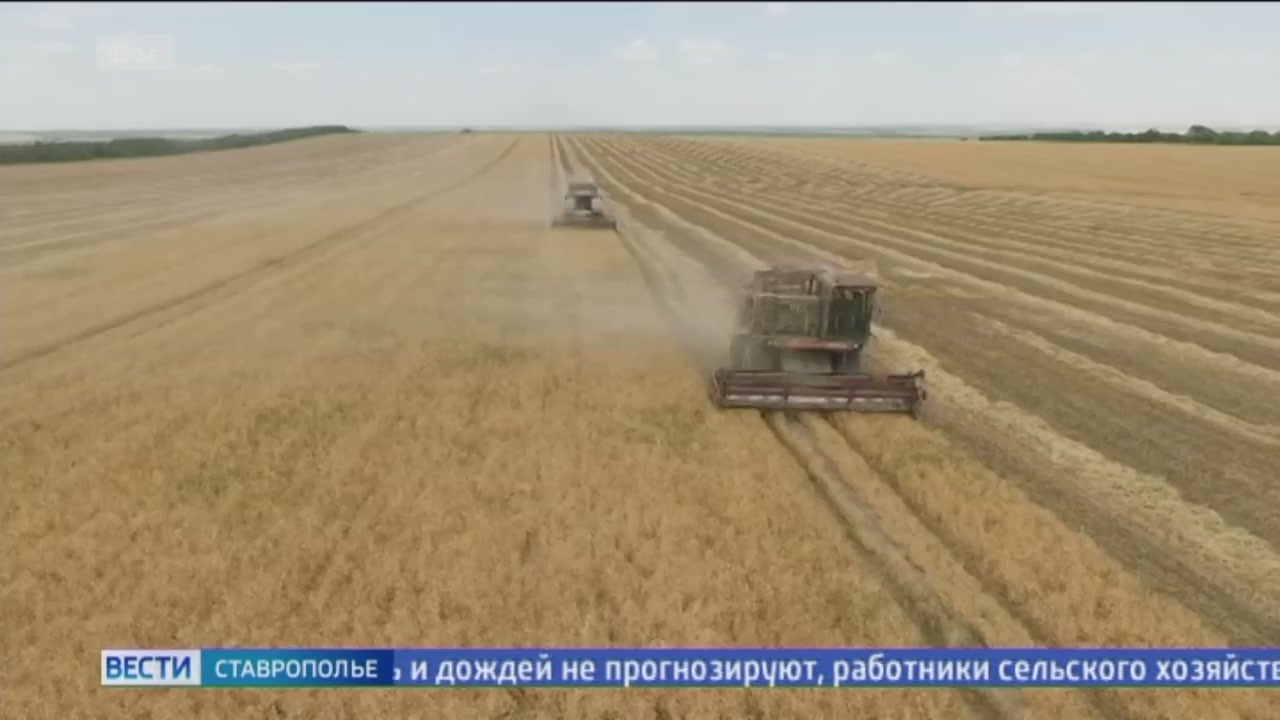 Национальные проекты ставропольского края