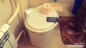 Короче говоря : сломал телефон!