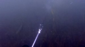 Подводная охота на водохранилище