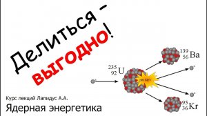 Лапидус А.А. Ядерная энергетика. Делиться выгодно!