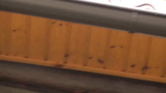 Молодая самаркандская белая белоглазая смотреть онлайн