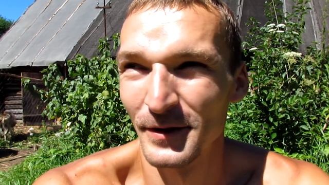 Прилетели пчелы... в дом. Выгнал и выставил им улей. Ждем. смотреть онлайн