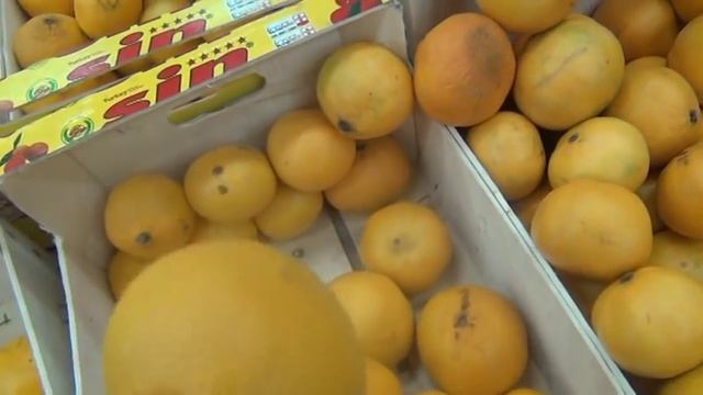 ?СВЕТОФОР?НОВОГОДНЕЕ  МЕНЮ?Прямо в  МАГАЗИНЕ НИЗКИХ Цен ?Салат ГОРЯЧЕЕ? Напитки и ДЕСЕРТЫ смотреть онлайн