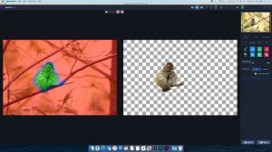 Topaz Mask AI: First Impressions for Bird Photography