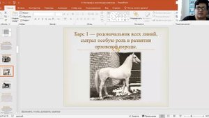 Петрова Ю.Н. / ЗОО-12Э / РО 02-04 / Тема: Экстерьер и конституция с/х животных