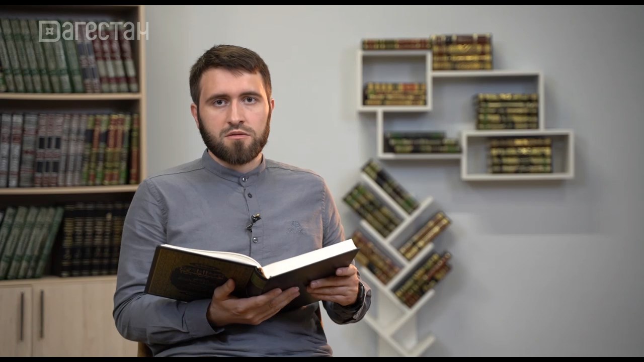 Мир вашему дому.  Агрессивное поведение