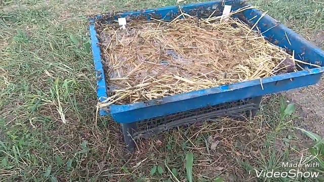 Безвзяточный период на пасике! смотреть онлайн