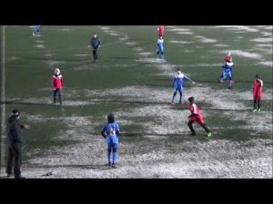 Чайка - Мытищи 2 игра  Счёт 2 - 0   (21.11.2020)