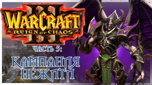 Warcraft III: Reign of Chaos прохождение 5: Прах к праху. Вечное королевство.