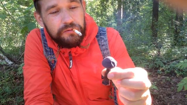 Грибы смотреть онлайн