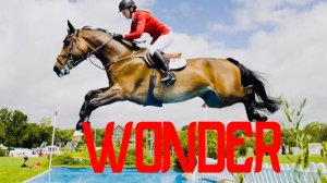 КОННЫЙ СПОРТ-КЛИП!КОНКУР И ВЫЕЗДКА, ТРОЕБОРЬЕ!Equestrian sport-Horse Jumping-Dressage