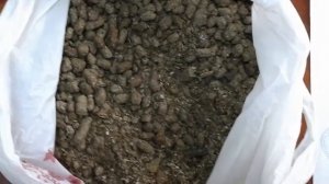 Шрот подсолнечный от ТОВ "Компания Ирада"