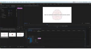 How to Edit Photoshop Files in Adobe Premiere Pro. (2021 Edition)