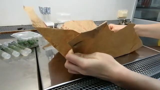 Микроклональное размножение. Микрочеренкование смотреть онлайн