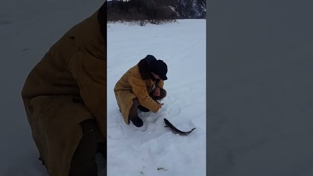 Зимняя рыбалка. река Мана.  Манский район. поселок Большой Унгут.