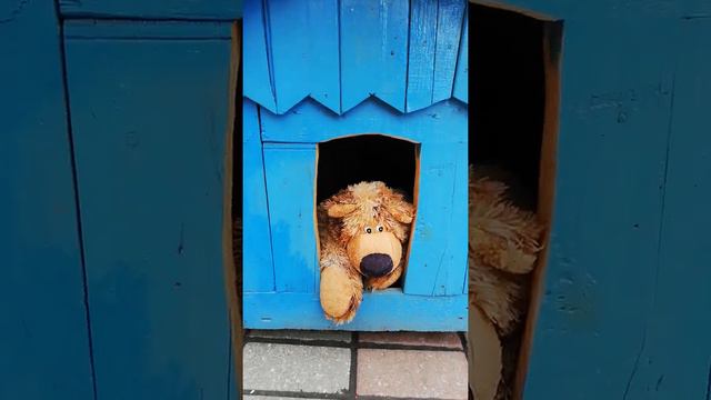 Осторожно злая собака. смотреть онлайн