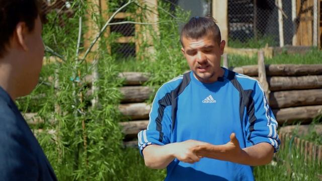 Приднестровский Аист Улетел в Бухарест и Пропал - Интересные Истории из Дома Животных смотреть онлайн