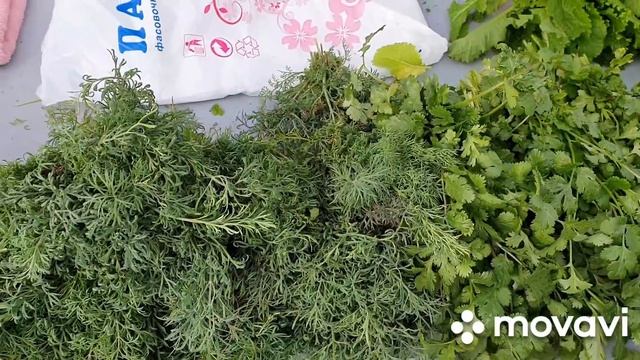 #Ейск? Рынок выходного дня. Чёрная Фея. Готовлю Бигос? смотреть онлайн