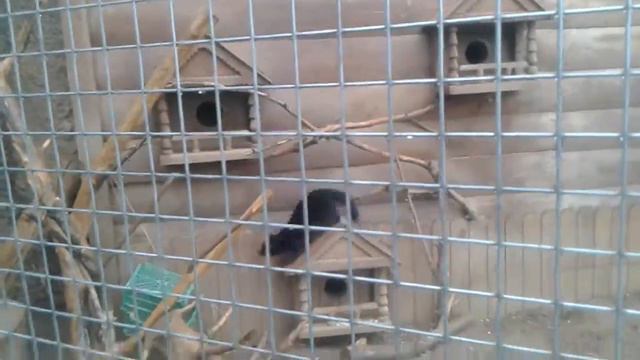 Кто знает что это пишите смотреть онлайн