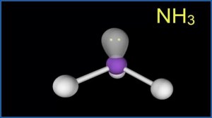 Ammonia vs the Ammonium Ion (NH3 vs NH4 +)