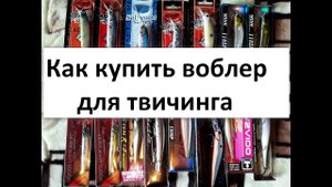 Как купить воблер для твичинга