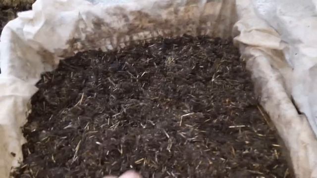 МОЯ ФЕРМА по разведению червей. КАРТОН,,пробный субстрат для ДЕНДРОБЕНЫ"