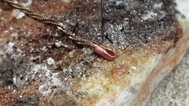 Ремонт золотой цепочки у замка смотреть онлайн