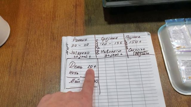 Когда сеять семена перца на рассаду. Сроки посева семян перца.