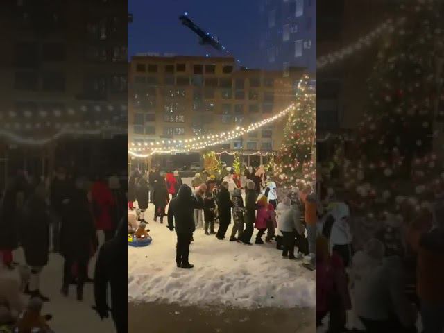 С Новым Годом! #shorts #2024 #брусника смотреть онлайн