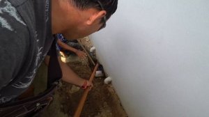 Ловля змей на Самуи