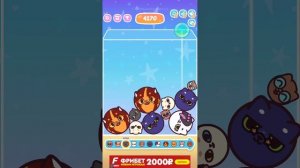 Обзор на игру Круглешата