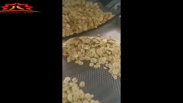 Вакуумная фритюрница для производства морковных чипсов смотреть онлайн