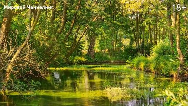 ?ЖИЗНЬ НА НОВОЙ ЗЕМЛЕ (ПОДУШКА БЕЗОПАСНОСТИ)-ченнелинг смотреть онлайн