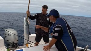 Spanish Mackerel Fishing Going off!! Far north Queensland style.