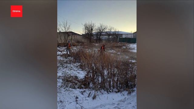 Мэрия нашла подрядчика на покос травы зимой смотреть онлайн