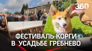 Ми-ми-ми зашкалило!... Видео: всероссийский фестиваль корги в подмосковном Щелково