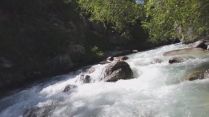 Кофе плюс это видео о природе подарит вам свежесть. зеленой лесной реки