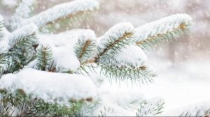 Чудесная Зимняя Мелодия!!! Зимняя сказка!! Невероятные пейзажи!! МУЗЫКА ДЛЯ ДУШИ!!! Сергей Чекалин.