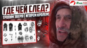 Как отличить чей след? Игорь Кроль про зимние следы на глубоком снегу.