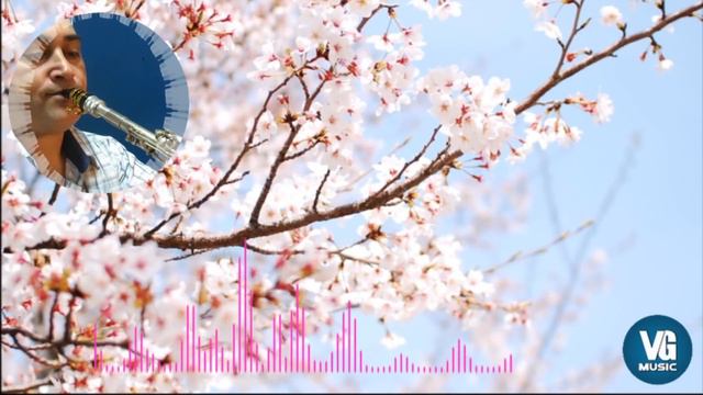 Пьяная весна /ARTURO/clarinet/Instrumental Music / Инструментальная музыка/