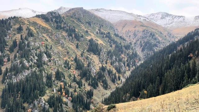 Охота на марала 2023 смотреть онлайн