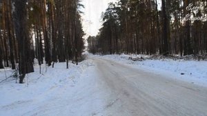 РЕФТИНСКИЙ 11 ФЕВРАЛЯ  #музыка #рефтинский