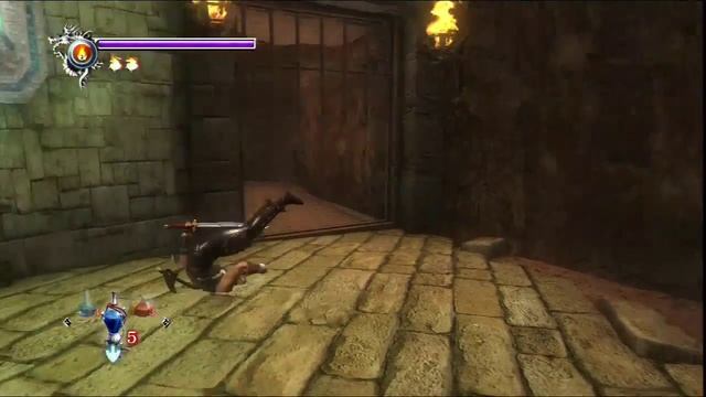 Прохождение Ninja Gaiden Sigma (PS3) с комментариями #7 смотреть онлайн