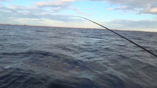 Рыбалка на средней Волге ловим леща смотреть онлайн