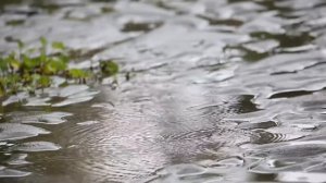 Вальс дождя Фредерик Шопен. Rain Waltz.
