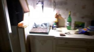 Результаты посадки семян аквариумного растения